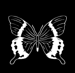 Tatuador en Alicante